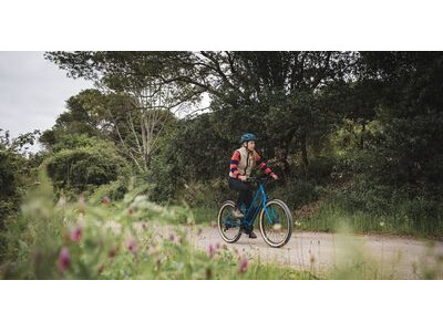 Marin Bikes Larkspur E click to zoom image