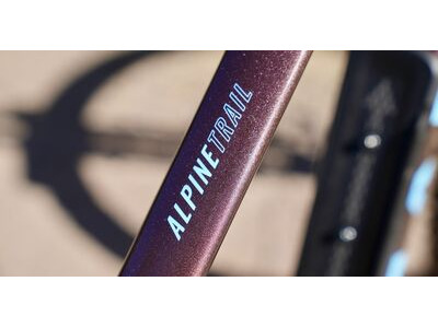 Marin Bikes Alpine Trail 1 click to zoom image