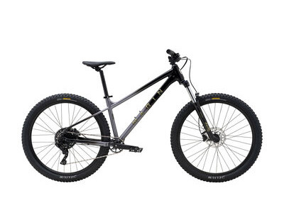 Marin Bikes San Quentin 1 29