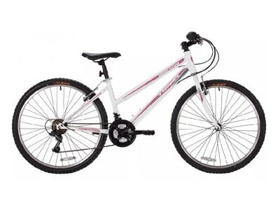 Tiger Cycles Momentum